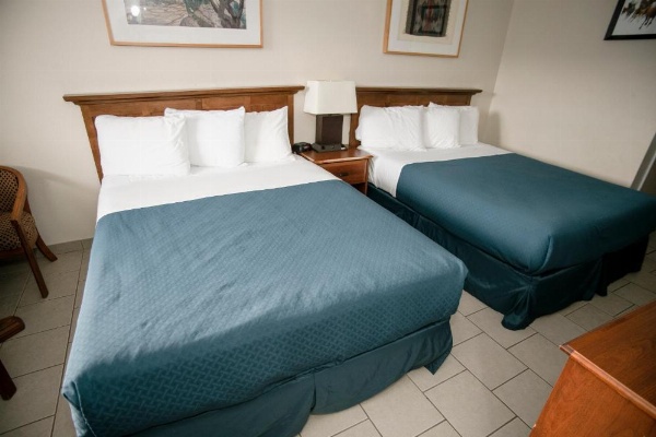 Pacific Inn image 24